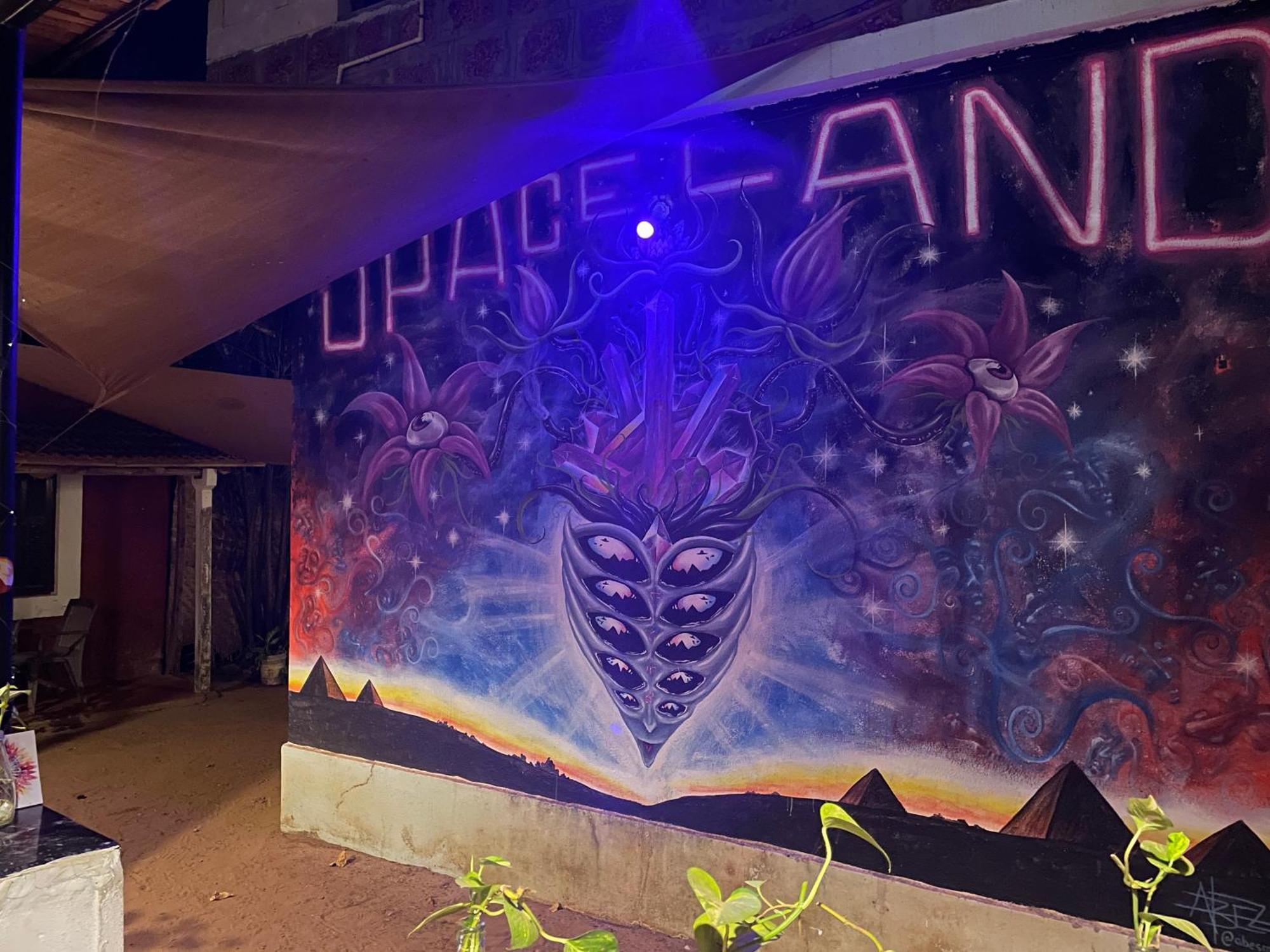 Spaceland Mandrem Dış mekan fotoğraf